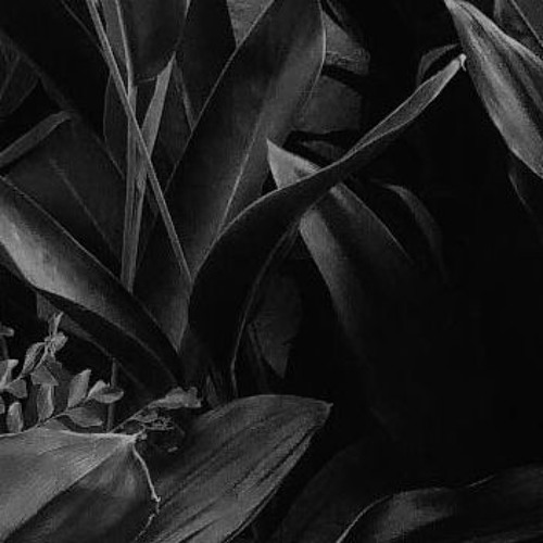 Everything Ekali