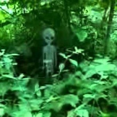 Guigas - Progdark Moment