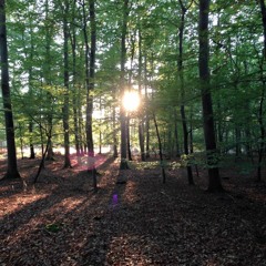 Westlin Winds Robert Burns sung by Ingrid Plum recorded live at Folkaround