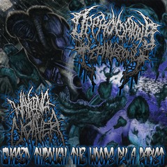 Chased Through the Woods by a Rapist