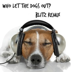 Who let the Dogs out (Blitz Remix)