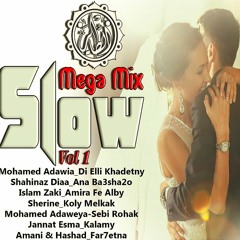 Mega Mix Slow - Vol _1  ميجا مكس سلو