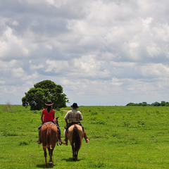 Flatlands (feat. Mercedes) [Chelsea Wolfe Cover]