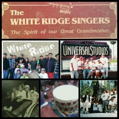 Roundyz by Delbert Blackhorse