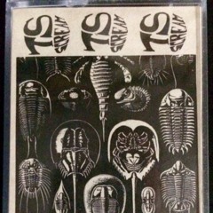 01 The Stream Screams