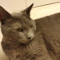 Day 25 (R2D2 In Love)