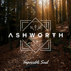 Sufjan Stevens - Impossible Soul (Ashworth Remix)