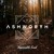 Artwork for Sufjan Stevens - Impossible Soul (Ashworth Remix)