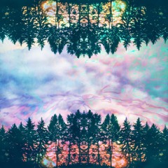 Seattle Collected — DJ sets from the Seattle dance scene