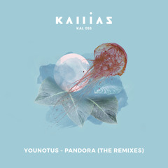 Younotus - Pandora (Nils Hoffmann Remix) SNIPPET