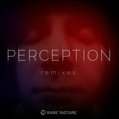 Perception (Mr.Kitty Remix)