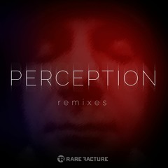 Perception (David Burdick Mix)