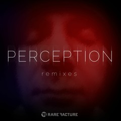 Perception (David Burdick Mix)