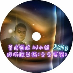 音速領域 - 2015 胖炳鳳梨搖(宏宏專屬)DJ小雄ReMix