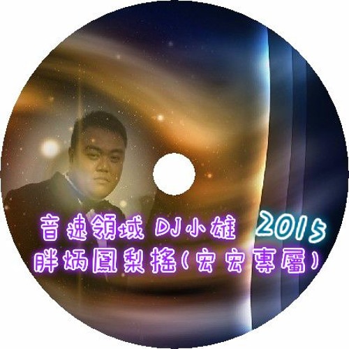 音速領域 - 2015 胖炳鳳梨搖(宏宏專屬)DJ小雄ReMix
