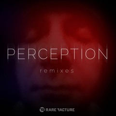 Perception (Album Version)