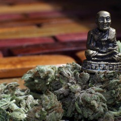 Gonzi Mashup(FANMADE)