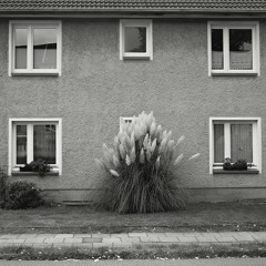 Timboletti - Helva Selva - snippet