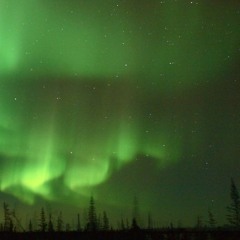 05 Weebles Are Hunting Us Down