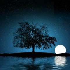 شعر