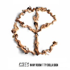 Ches x Ty Dollar Sign -  in my room