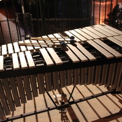 Pure Imagination - Solo Vibraphone by Anna Kho