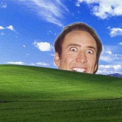 We Came Here To F%$&# Spiders