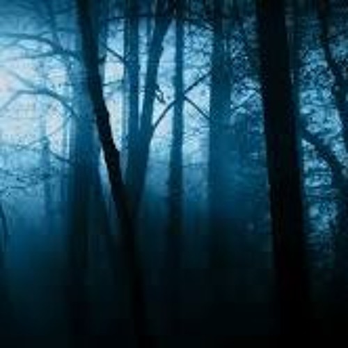 Kevin D'Orion - In The Shadows (The Mix)