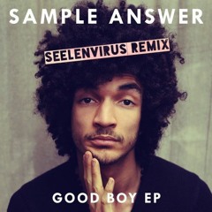 Sample Answer - Good Boy (Seelenvirus Remix)