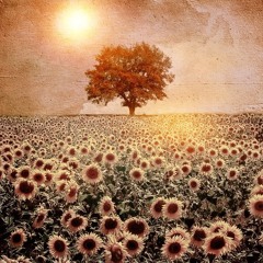 Full Moon Online Retreat ~ Tree Seed Blessing
