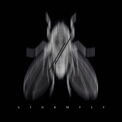 STORMFLY EP