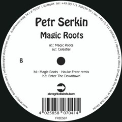 Petr Serkin - Magic Roots - (Hauke Freer Remix)