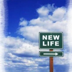 new life
