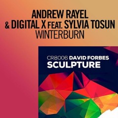 Andrew Rayel & Digital X & Sylvia Tosun Vs. David Forbes - Winterburn Sculpture (Cluster Mashup)