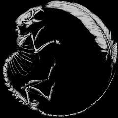 DCA - In The Embrace Of Truth ( ARKANGEL Cover )