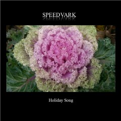 Holiday Song
