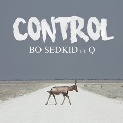 Control - Bo Sedkid ft. Q