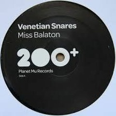 Venetian Snares - Miss Balaton(Remaxn rmx)