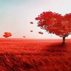 Show Me Love - Sam Feldt