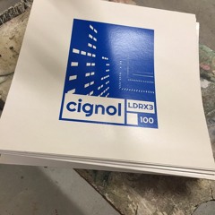 A1. Cignol - 2 Chord Ponie