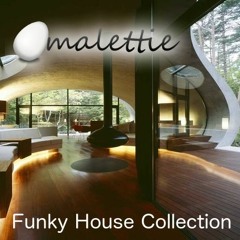 Funky House