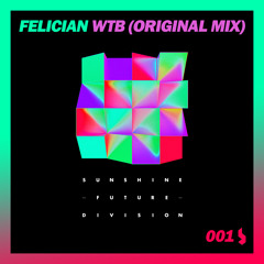 FELICIAN - WTB (Original Mix) [Teaser]