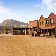 The West (ft. Beerend Ceulemans)