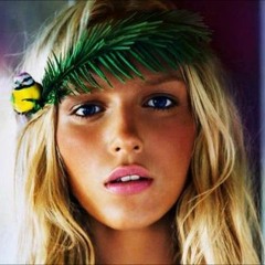 Metamorphosis Of The Sunset