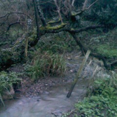 Falling Away - from 'Dive'