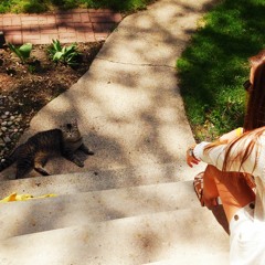 New Year New Meeeeeow Mix