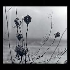 Recondite - Placid (Full Album)