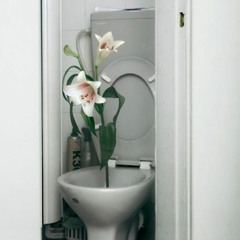 1 - Foetus Mendelay - Flow - 2001