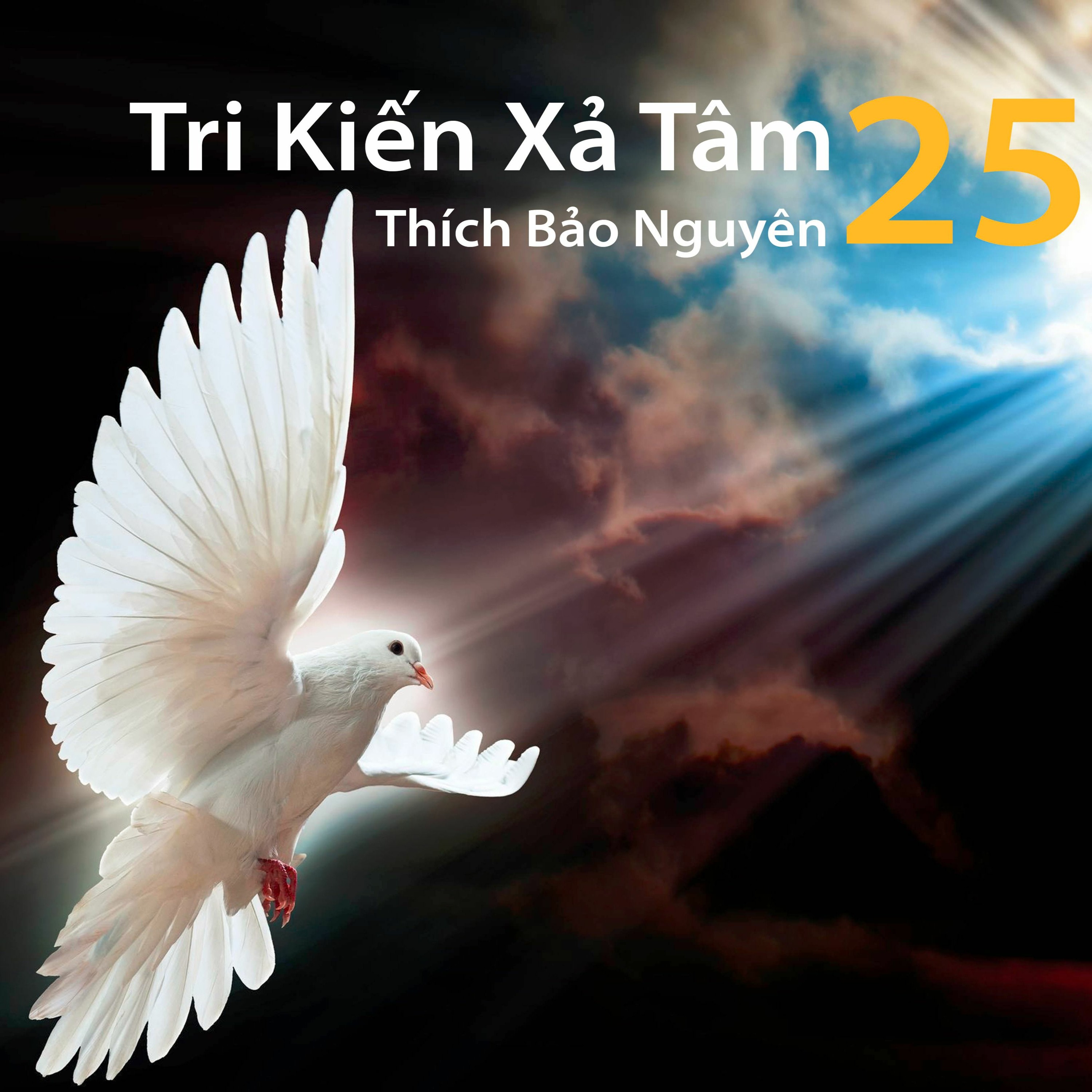 Pháp Tác Ý Xả Tâm Phiền Não episode artwork