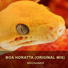 Moonamee - Boa Horatta (Original Mix)